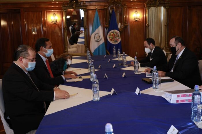 Delegación de la OEA en Guatemala Dirigida por Fluvio Pompeo (1)