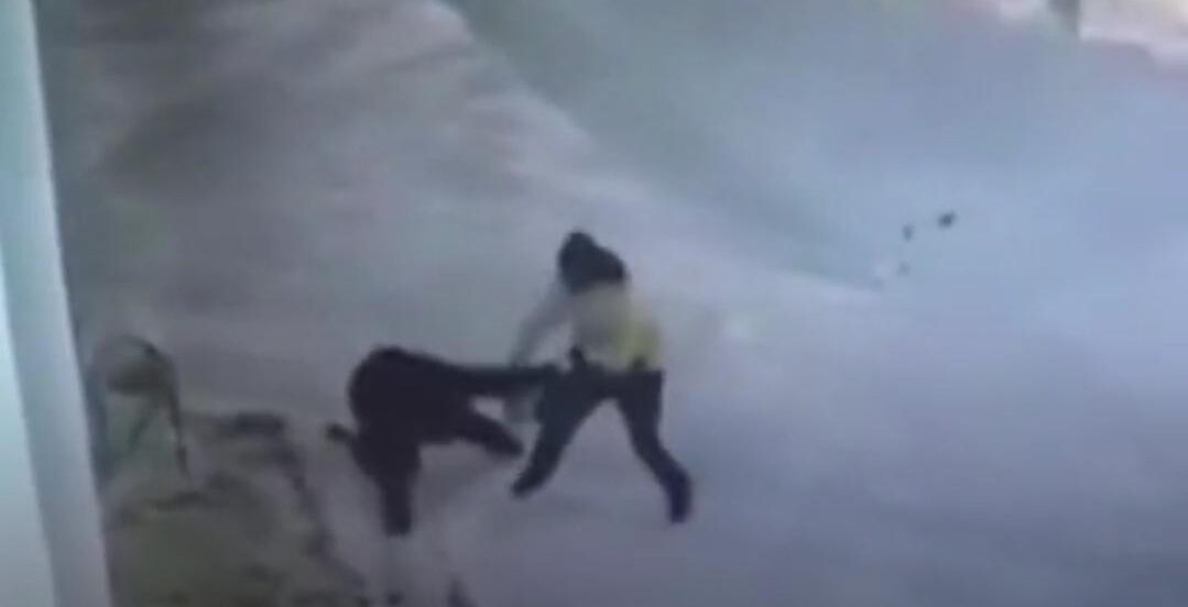 Mujer se enfrenta a ladrón armado y así terminó (VIDEO) 