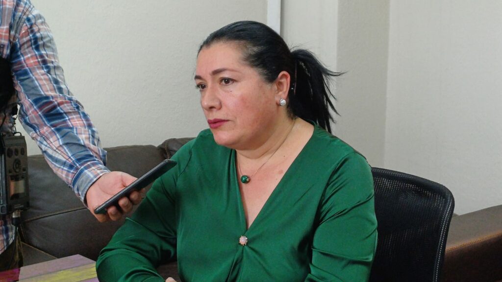 Blanca Alfaro asegura que aplicará un plan de austeridad en el TSE