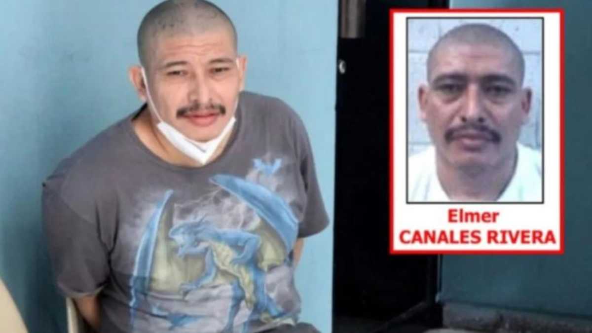 El pandillero salvadoreño de la MS-13 extraditado a EE.UU. Fue capturado por las autoridades mexicanas. Foto: AFP