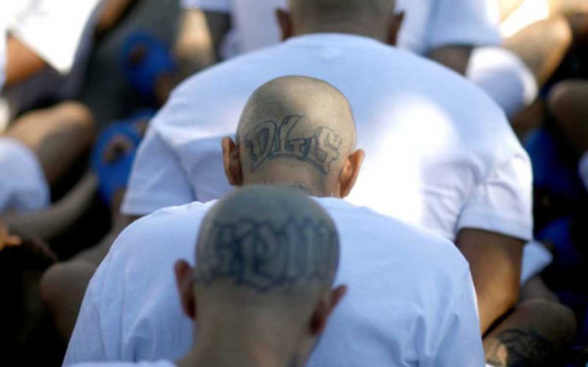 La mayoría de pandilleros salvadoreños detenidos en Guatemala, durante 2023 son acusados del delito de extorsión. Foto: TN23 archivo.