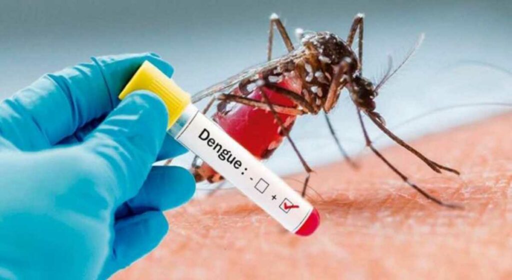 Salud prevé que casos de dengue continúen en los próximos meses