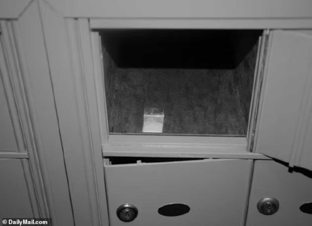Las primeras fotografías de la cocaína localizada en la Casa Blanca, el domingo 2 de julio de 2023, antes del feriado del 4 de julio. Foto: DailyMail.com