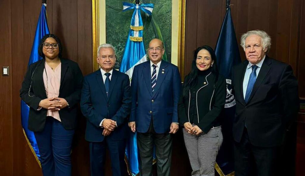 Algunos Magistrados de la CC se reunieron con el presidente del Consejo Permanente de la Organización de Estados Americanos (OEA).