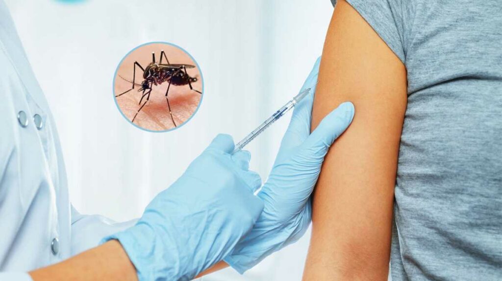 Brasil comenzará en febrero una campaña de inmunización contra el dengue tras un incremento de casos. Foto: AFP
