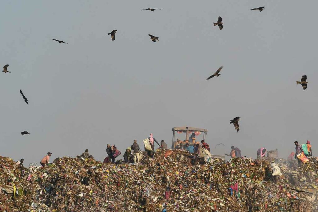 El volumen de residuos en el mundo, que en 2023 era de 2 mil 300 millones de toneladas, podría aumentar más de un 60 por ciento en 2050. Foto: AFP