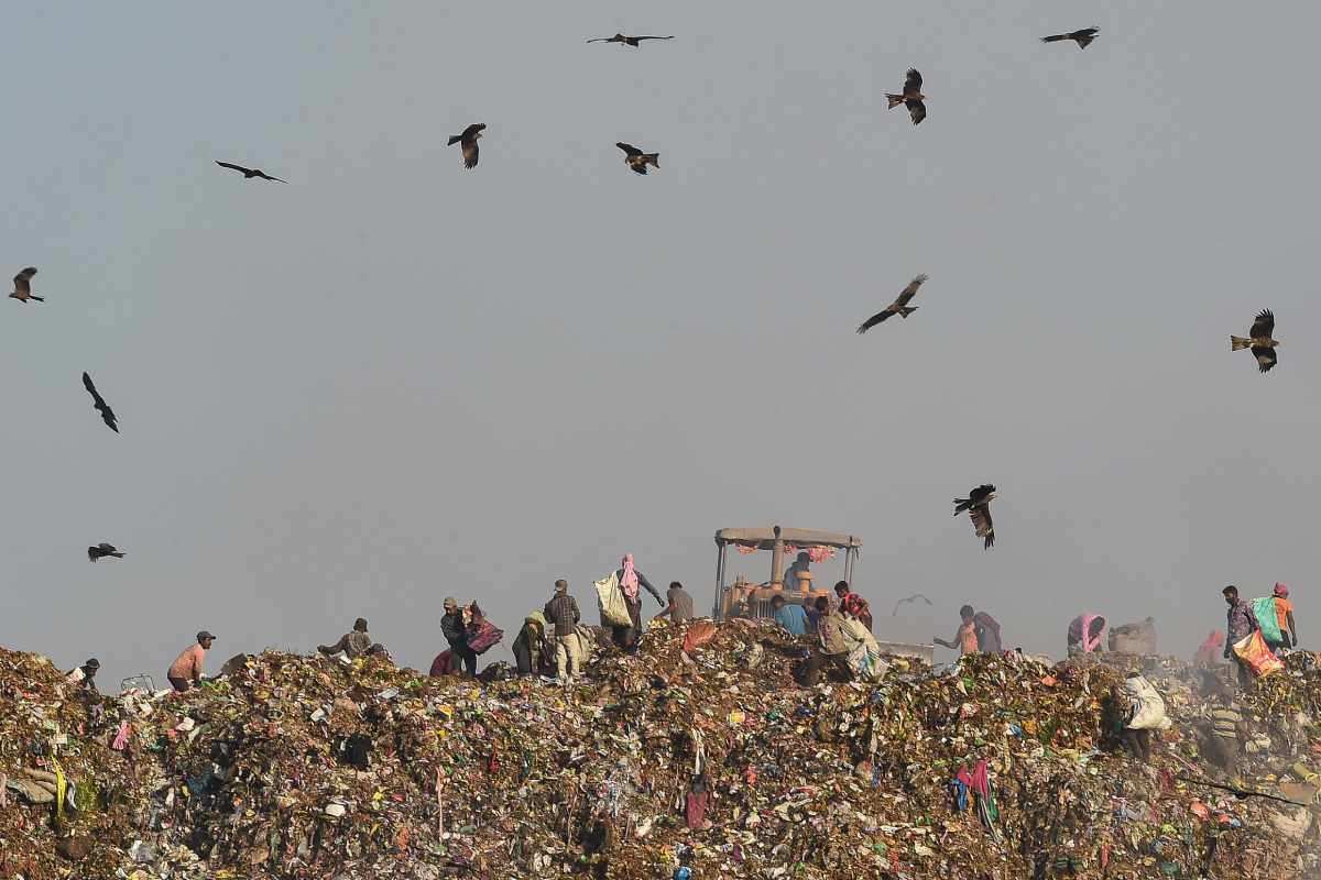 El volumen de residuos en el mundo, que en 2023 era de 2 mil 300 millones de toneladas, podría aumentar más de un 60 por ciento en 2050. Foto: AFP