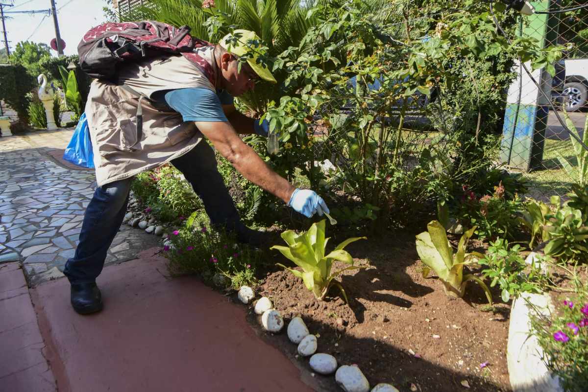 Trabajadores sanitarios recorren los barrios de Paraguay, para fumigar mosquitos y combatir sus larvas en la lucha contra el dengue. Foto: AFP