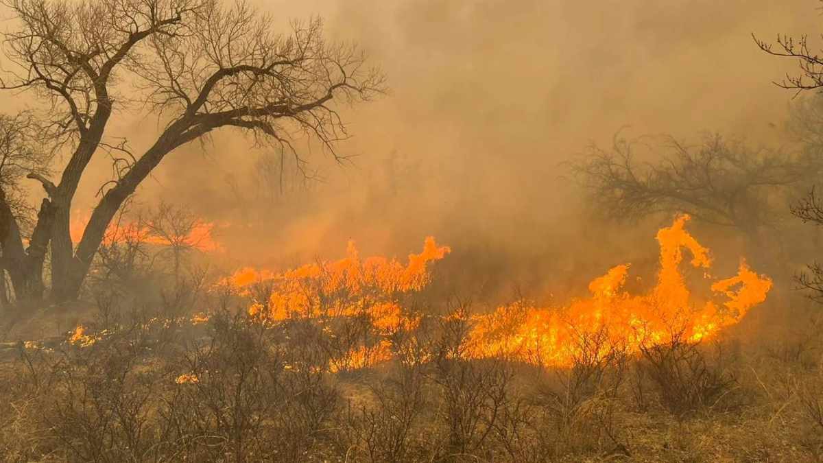 Texas, en Estados Unidos, enfrenta el mayor incendio forestal de su historia, difícil de controlar por los bomberos. Foto: AFP