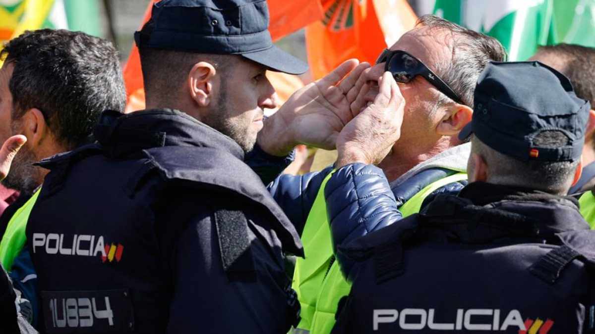 La policía española anunció la detención de 53 personas que trabajaban para una organización internacional que amañaba eventos deportivos. Foto: AFP