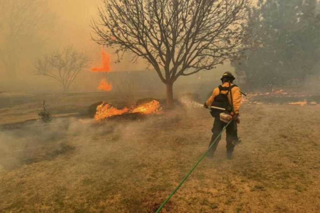 Una compañía eléctrica asumió su responsabilidad en el inicio del mayor incendio forestal en la historia de Texas, sur de Estados Unidos. Foto: AFP