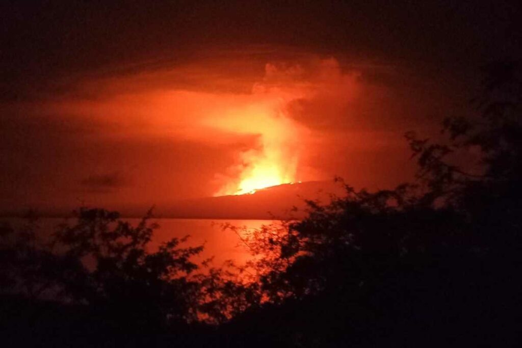 El volcán La Cumbre de la deshabitada isla Fernandina, en el turístico archipiélago ecuatoriano de Galápagos, ha erupcionado tres veces desde 2017. Foto: AFP